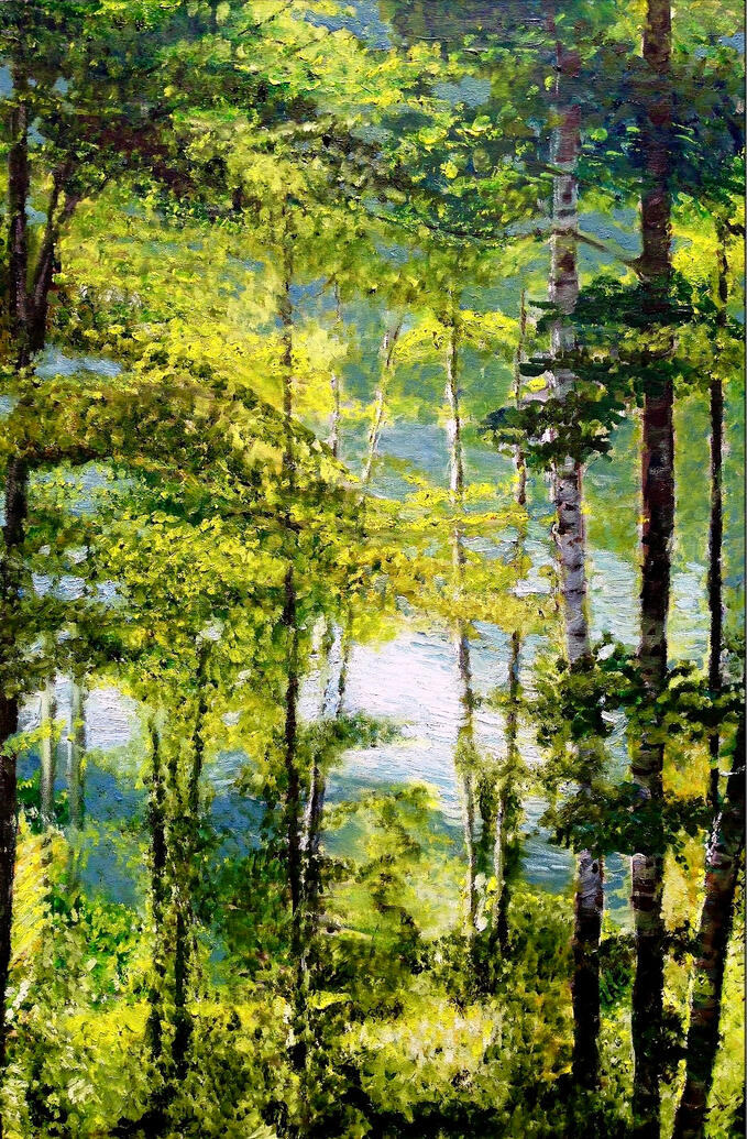 Birch Trees in Summer